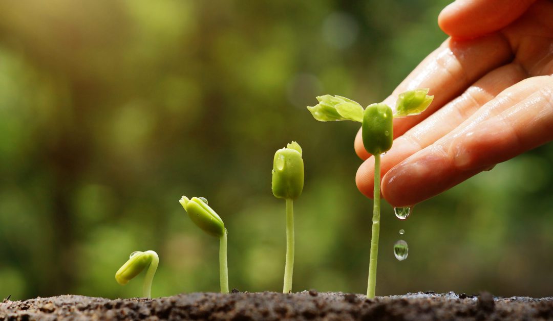 Favorire la ricrescita dei capelli: alimentazione, cure e trattamenti