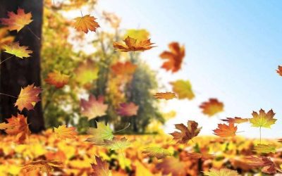 Caduta dei capelli autunnale