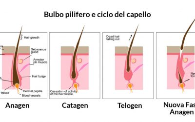Il bulbo pilifero: funzioni, patologie e cura