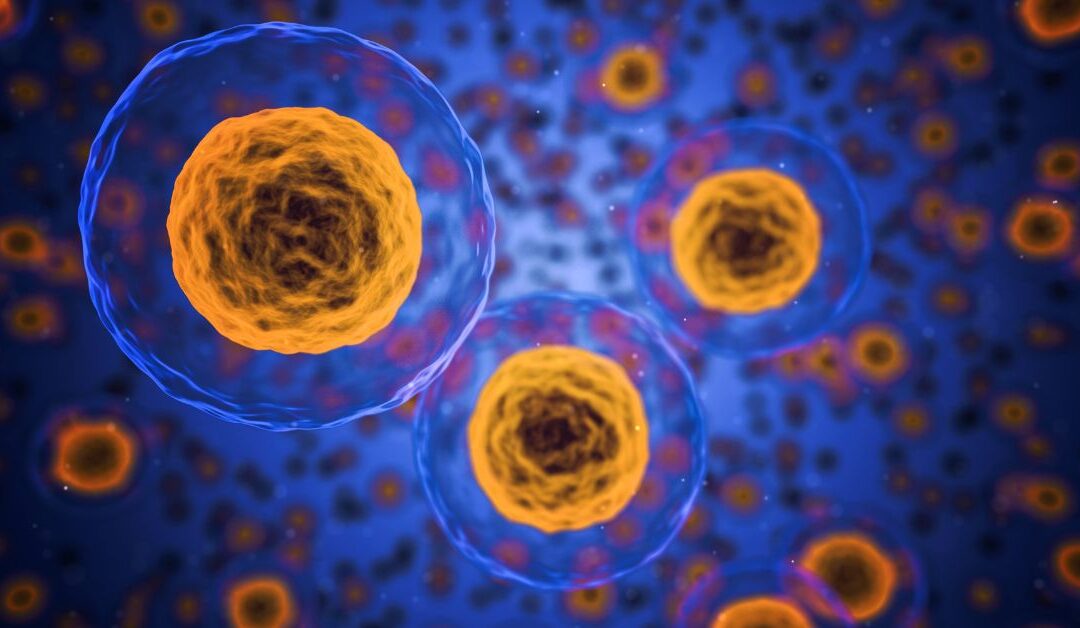 Esosomi per capelli: le nuove frontiere della tricologia