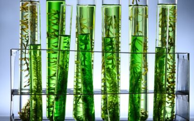 PRP Biologico: una nuova frontiera per la salute dei capelli