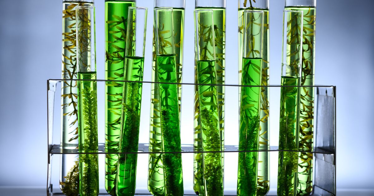 PRP Biologico